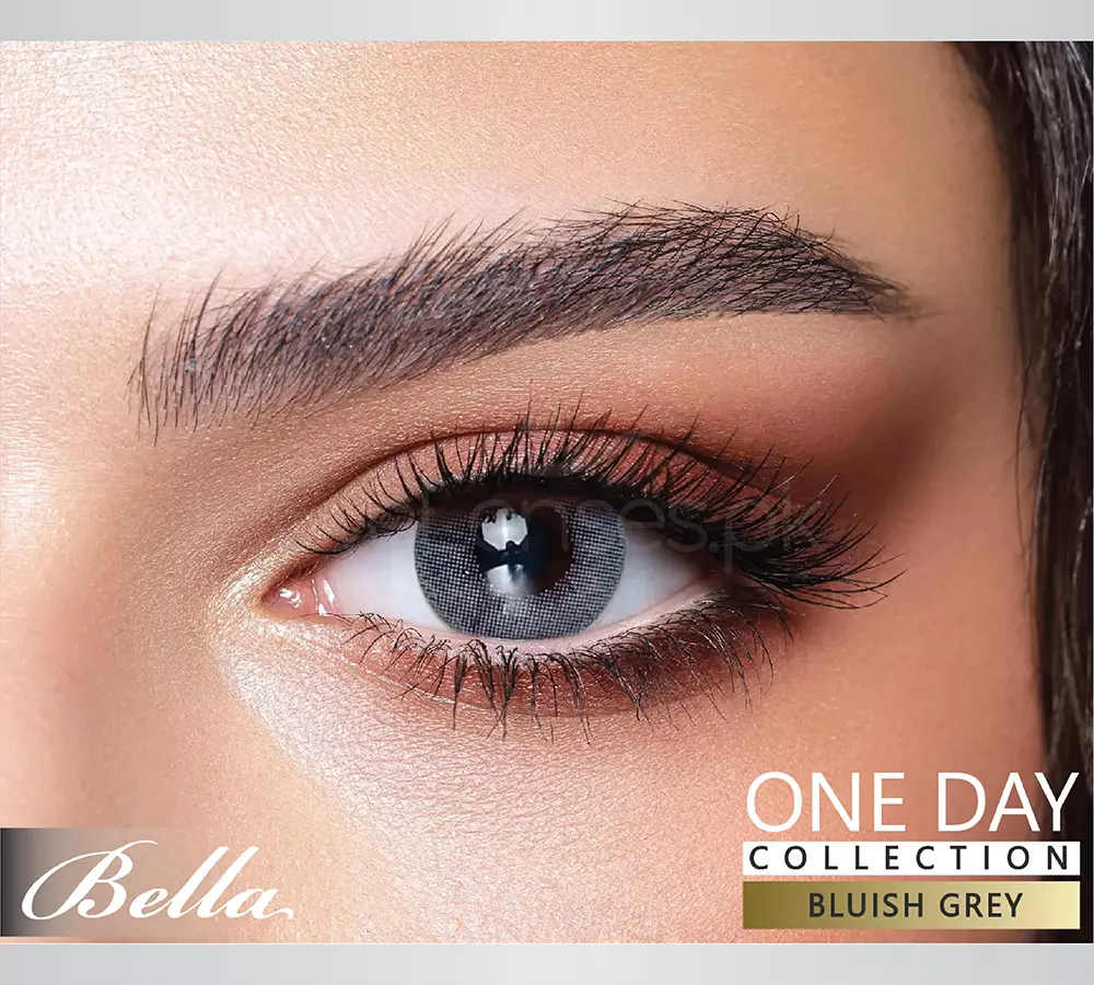 Bluish Grey One Day Collection - Bella