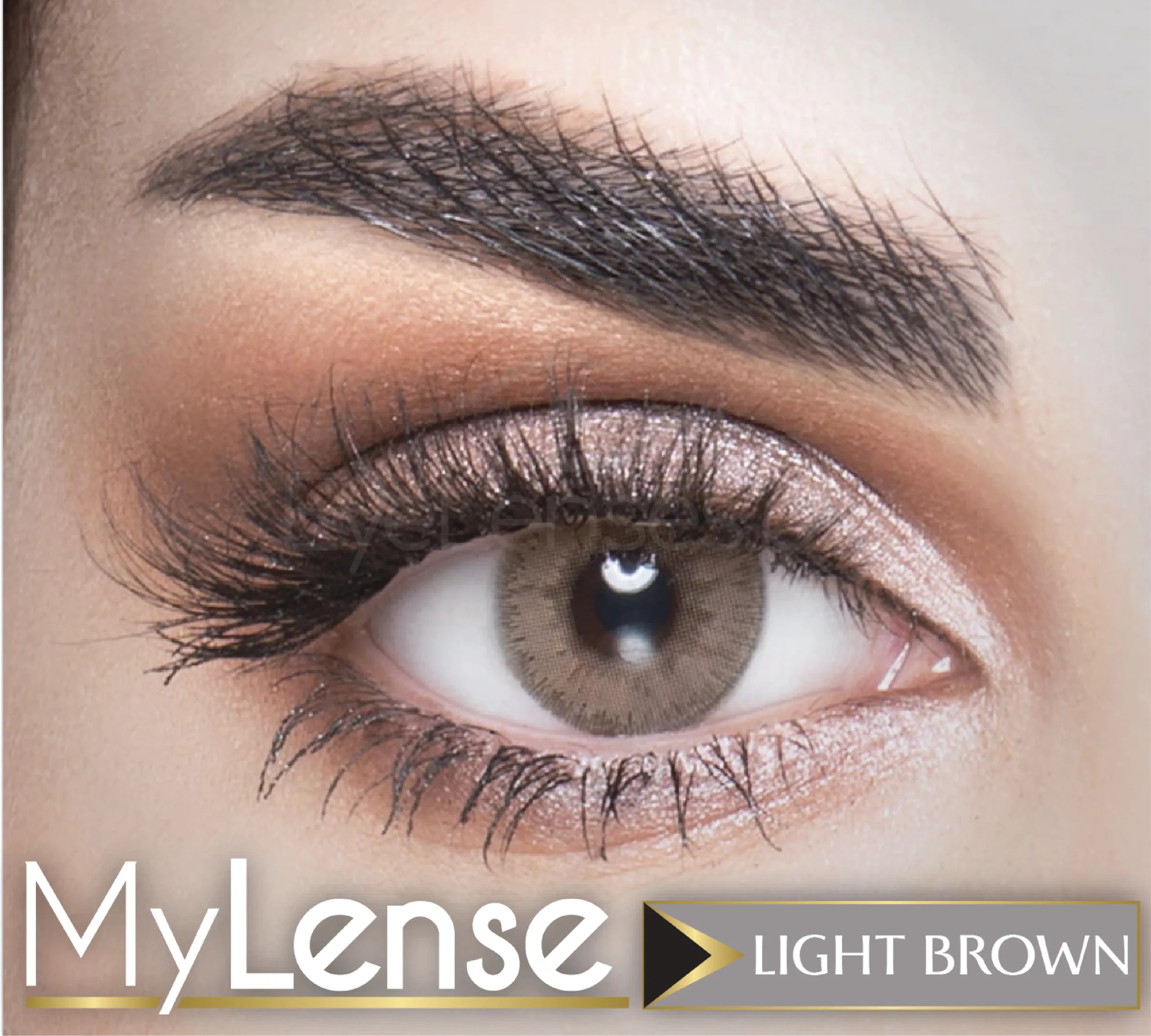 Light Brown- My Lense