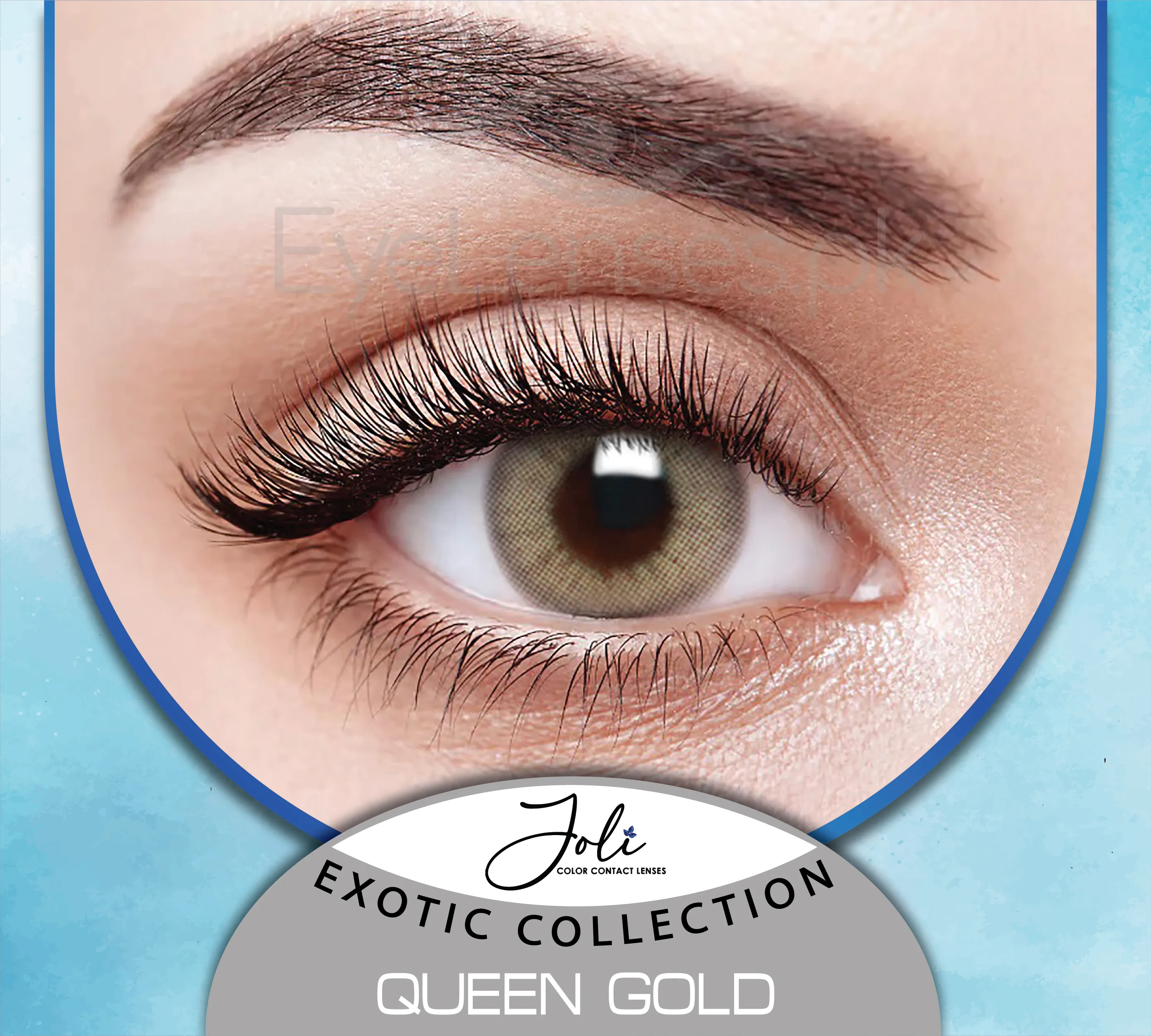 QUEEN GOLD EXOTIC COLLECTION - JOLI