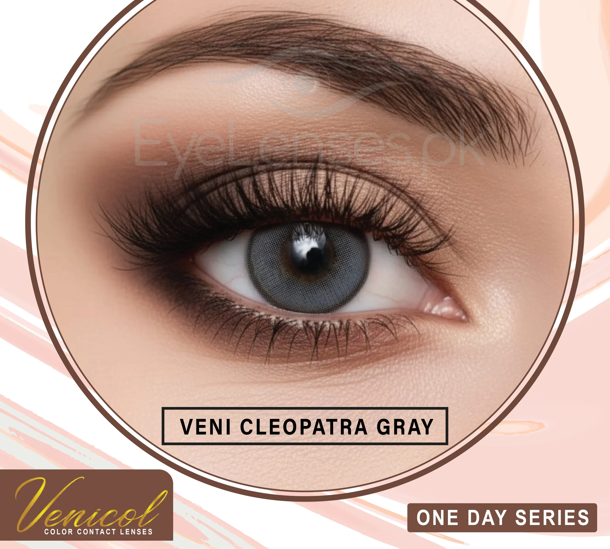 Cleopatra Gray One Day Series – Venicol