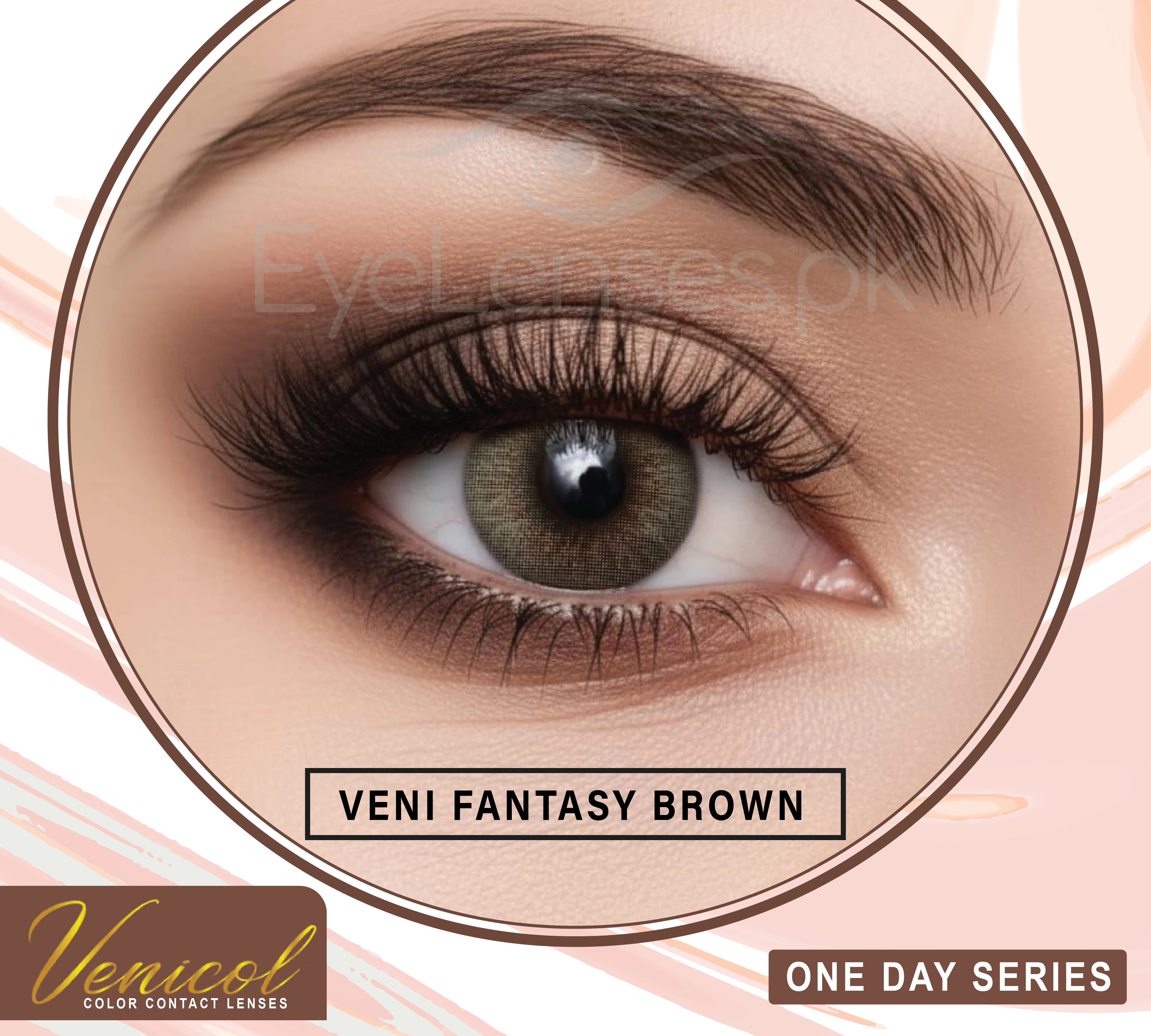 Fantasy Brown One Day Series – Venicol